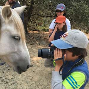 You can up close and very personal with some of the horses and ponies!