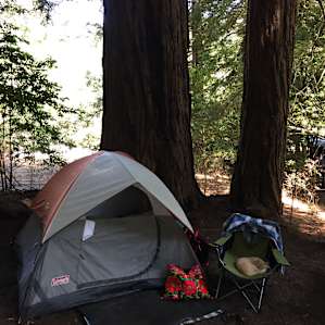 Enchanted Forest Millie Campsite