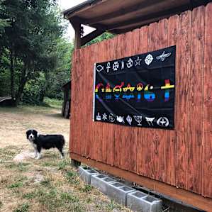 The neighborhood dog