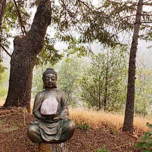 Cedar Bloom promotes peace and healing at every turn.
