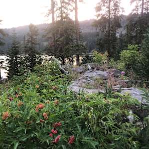 Little Bear Campground