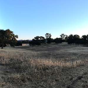 Pioneer Home Farms