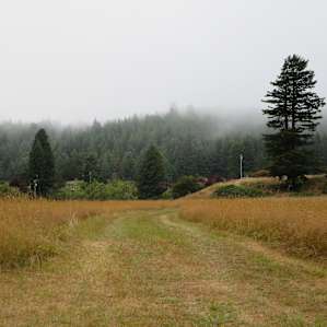 The view from our site was stunning, so peaceful.