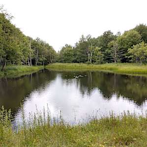 Northern Catskills Malaka Meadows