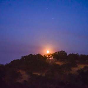 Awesome star gazing on this property!
