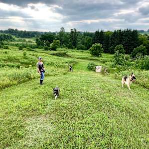 Bicycle Farm - rural retreat