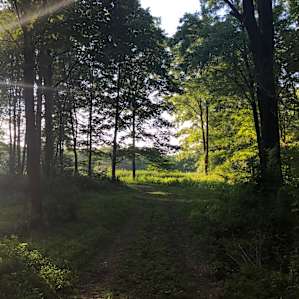 Pathway leading from our campsite to the alpaca field.
