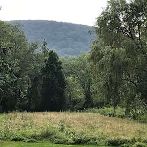 Meadow, walk down the left to a more secluded camp site