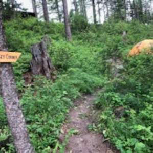Primitive Forested Tent Sites
