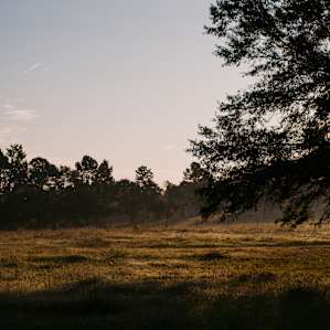 Pasture, viewed from the driveway area.