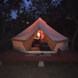 San Diego Poolside Glamp
