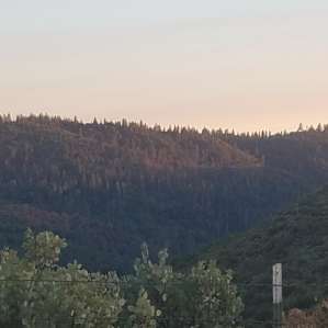 View from the tent...