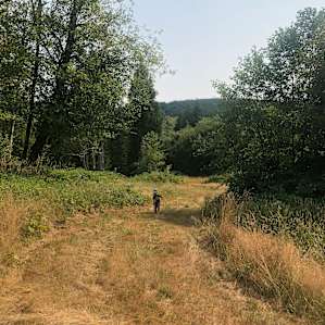 Little dude exploring the property. Blackberries all over the place ... too early in the season ...