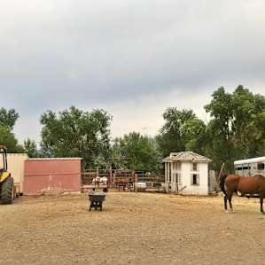 Some of the animals, like this horse, roam free right around you while you’re camping. :)