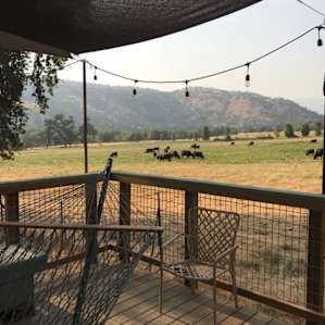 Pasture Cabin- Secluded