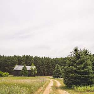 Welcome to Camp Moonshadow!