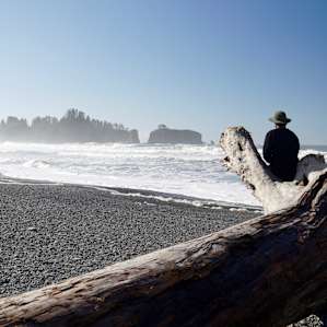 Mora Campground Olympic National Park Wa 1 Hipcamper