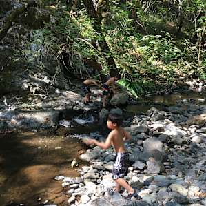 Creek on the other side of the property