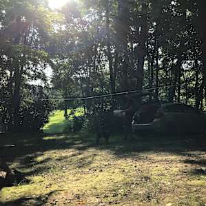 View from my hammock of the rest of the site.