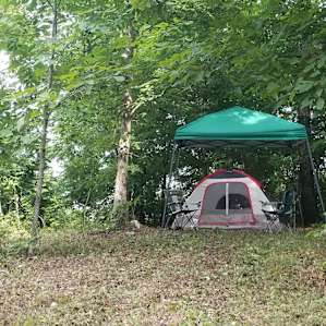tent forest lodging