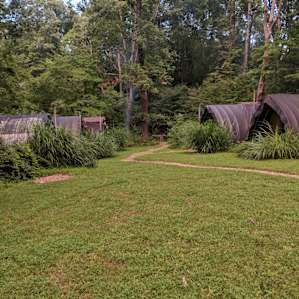 tent forest lodging