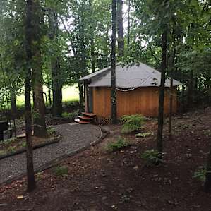 forest yurt lodging