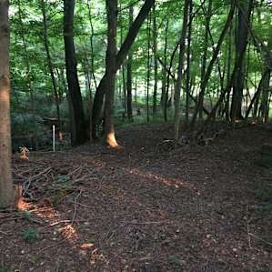 Another spot where campers could set up a tent.