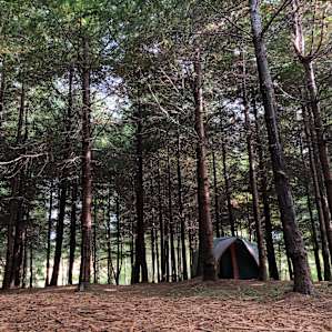 Grey Owl Hollow