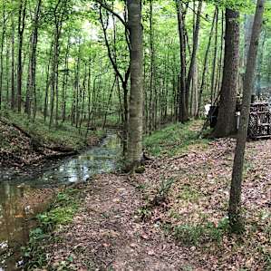 Creek that runs by Site 2. The water was low, but babbled by the tent. It was the song we fell asleep to each night.