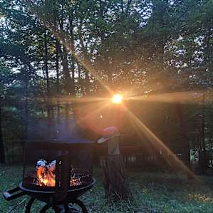 Pine Forrest Glamping Tent