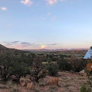 Hound Dog Homestead... The Cabin!