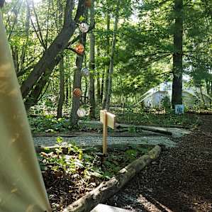 Heated Yurt in the Forest (dogs ok)