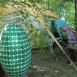 Heated Yurt in the Forest (dogs ok)