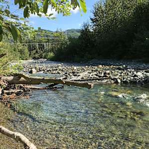 A creek you can easily walk to (less than 20 minute slow walk from site)