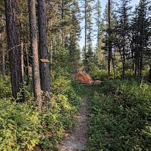 One of the many secluded tent sites