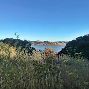 At the top of the trail overlooking the water
