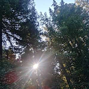 Peaceful