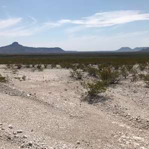 La Casita Blanca
