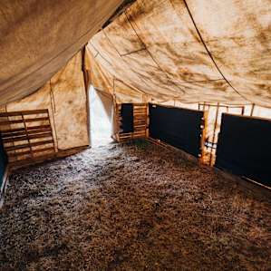There is a large tent where you can sleep if you want.
