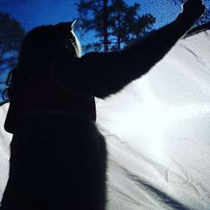 It is a spiritual adventure for Fig to go camping and connect with her wold roots.