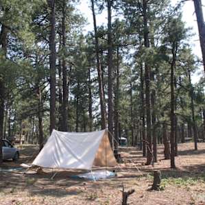 Timber Canyon Campground .NINJAzip.