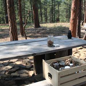 Timber Canyon Campground .NINJAzip.