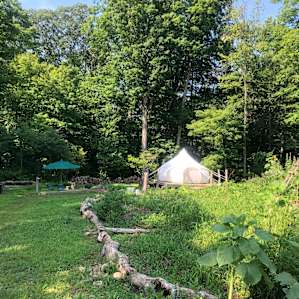 Finnegan’s Farm, West Yurt