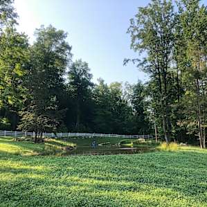 Finnegan’s Farm, West Yurt