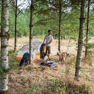 Tent/RV on Certified Organic Farm