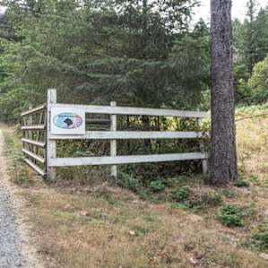 Tent/RV on Certified Organic Farm