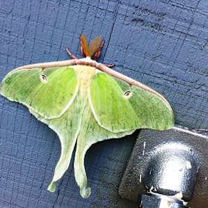 This guy was hanging out!