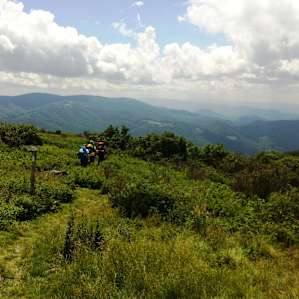Along the hike