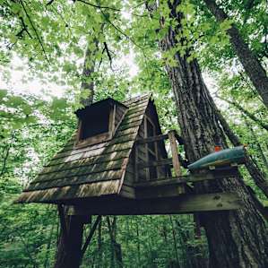 forest lodging treehouse
