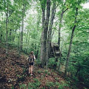 forest hiking activity